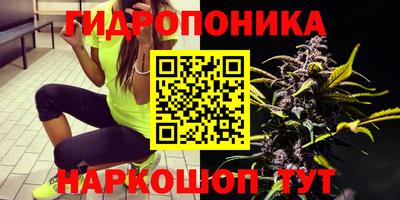 стаф Гагарин