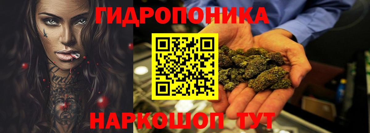 Каннабис сатива  Марихуана ГИДРОПОН  Канабис планчик  Вход с VPN  Минеральные Воды 